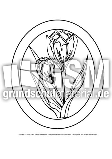 Fensterbild-Tulpe-1B.pdf